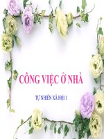 bài giảng tự nhiên xã hội lớp 1  công việc ở nhà