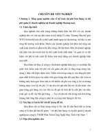 Kế toán chi phí bán hàng và chi phí quản lý doanh nghiệp tại công ty TNNH Phát Triển Công Nghệ Máy Tính Việt Nam.