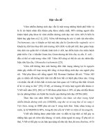 nghiên cứu đặc điểm lâm sàng, cận lâm sàng của viêm ađ và hiệu quả của fluomizin trong điều trị tại bệnh viện phụ sản trung ương