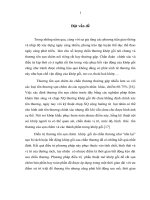 đánh giá kết quả nội soi khớp gối trong chẩn đoán và điều trị rách sc do chấn thương tại bệnh viện việt đức và bệnh viện twqđ 108