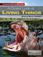 a closer look at living things