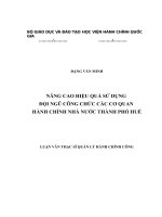 nâng cao hiệu quả sử dụng đội ngũ công chức các cơ quan hành chính nhà nước thành phố huế