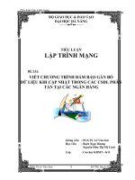 TIỂU LUẬN LẬP TRÌNH MẠNG VIẾT CHƯƠNG TRÌNH ĐẢM BẢO GẮN BÓ DỮ LIỆU KHI CẬP NHẬT TRONG CÁC CSDL PHÂN TÁN TẠI CÁC NGÂN HÀNG