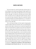 Tiểu luận kinh tế quốc tế: Những lợi thế và khó khăn của Việt Nam khi tham gia vào hội nhập nền kinh tế thế giới và khu vực