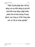 một số giải pháp hạn chế tác động cúa sự biến động tỷ giá hối đoái đến hoạt động nhập khẩu phân bón từ thị trường trung quốc của công ty xnk nông lâm sản và vật tư nông nghiệp