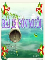 bài giảng tự nhiên xã hội lớp 1 bài 28 con muỗi