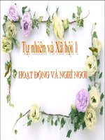 bài giảng tự nhiên xã hội lớp 1 bài 9 hoạt động và nghỉ ngơi