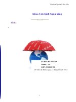 Tiểu luận Bảo hiểm con người phi nhân thọ