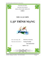 Lập trình bộ tuần tự tuần hoàn trên vòng tròn ảo (TIỂU LUẬN MÔN LẬP TRÌNH MẠNG)