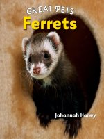 great pets ferrets