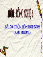 bài giảng công nghệ 6 bài 20 thực hành - trộn hỗn hợp nộm rau muống