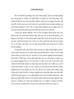 VỐN VÀ HIỆU QUẢ SỬ DỤNG VỐN TẠI CÔNG TY DƯỢC PHẨM THIẾT BỊ Y TẾ HÀ NỘI