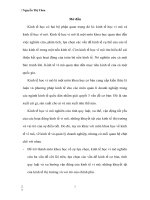 Phương pháp giải bài tóan lựa chọn tiêu dùng sản phẩm tối ưu