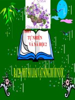 bài giảng tự nhiên xã hội lớp 2 bài 29 một số loài vật sống dưới nước