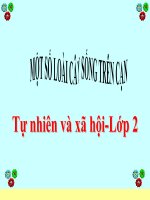 bài giảng tự nhiên xã hội lớp 2 bài 25 một số loài cây sống trên cạn
