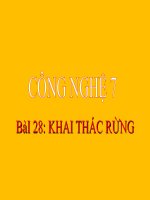 bài giảng công nghệ 7 bài 28 khai thác rừng