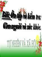 bài giảng tự nhiên xã hội lớp 3 bài 18 ôn tập con người và sức khỏe (tt)