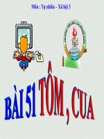 bài giảng tự nhiên xã hội lớp 3 bài 51 tôm cua