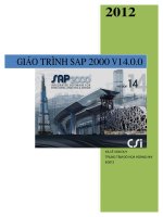 giáo trình phần mềm sap2000 phiên bản v14