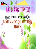 bài giảng tự nhiên xã hội lớp 3 bài 6 máu và cơ quan tuần hoàn