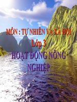 bài giảng tự nhiên xã hội lớp 3 bài 30 hoạt động nông nghiệp