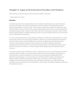 chapter 4 types of e-commerce providers and vendors