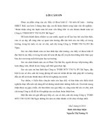 kế toán vốn bằng tiền và các khoản thanh toán tại công ty trách nhiệm hữu hạn một thanh viên thương mại và dịch vụ bá ngọc