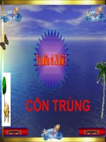 bài giảng tự nhiên xã hội lớp 3 bài 50 côn trùng