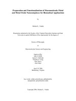 preparation and functionalization of macromolecule-metal and metal oxide nanocomplexes for biomedical applications