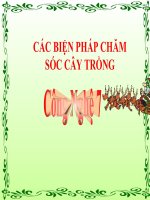 bài giảng công nghệ 7 bài 19 các biện pháp chăm sóc cây trồng