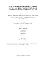 synthesis and characterization of novel polymers for functional and stimuli responsive silicon surfaces