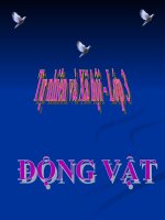 bài giảng tự nhiên xã hội lớp 3 bài 49 động vật