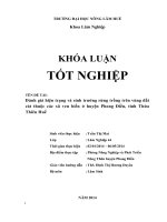 đánh giá hiện trạng và sinh trưởng rừng trồng trên vùng đất cát thuộc các xã ven biển ở huyện phong điền, tỉnh thừa thiên huế