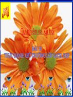 bài giảng tự nhiên xã hội lớp 2 bài 18 thực hành giữ trường học sạch đẹp