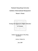 strategy development for higher education in vietnam