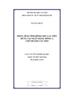 Phân tích tình hình cho vay tiêu dùng tại ngân hàng đông á chi nhánh cần thơ