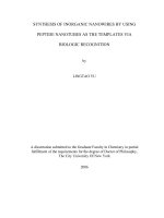 synthesis of inorganic nanowires by using peptide nanotubes as the templates via biologic recognition