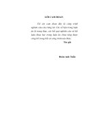 nhân lực có chuyên môn kỹ thuật cho công nghiệp hóa, hiện đại hóa ở tỉnh hoà bình ( toàn văn)