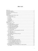 NGHIÊN cứu PHƯƠNG PHÁP SAN BẰNG tín HIỆU CHO UWB