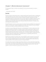 chapter 1 what is electronic commerce