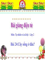bài giảng tự nhiên xã hội lớp 2 bài 24 cây sống ở đâu
