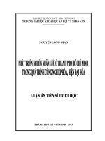 phát triển nguồn nhân lực ở thành phố hồ chí minh trong quá trình công nghiệp hóa, hiện đại hóa