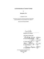 an introduction to counter groups