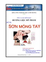 Tiểu luận môn học HƯƠNG LIỆU MỸ PHẨM đề tài SƠN MÓNG TAY