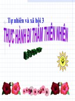 bài giảng tự nhiên xã hội lớp 3 bài 57 thực hành đi thăm thiên nhiên (tt)