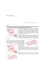 sự khac nhau giua cong nghe AON và PON