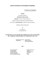 etude des catalyseurs de croissance de nanotubes de carbone monoparois synthetises par cvd