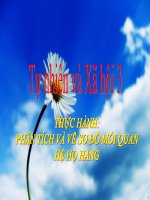 bài giảng tự nhiên xã hội lớp 3 bài 22 thực hành phân tích và vẽ sơ đồ mối quan hệ họ hàng (tt)