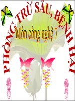 bài giảng công nghệ 7 bài 13 phòng trừ sâu hại