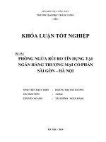 phòng ngừa rủi ro tín dụng tại ngân hàng thương mại cổ phần sài gòn - hà nội